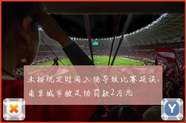 未按规定时间入场导致比赛延误，南京城市被足协罚款2万元